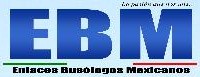 Enlaces Busólogos Mexicanos EBM
